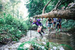 BIB: 
                            <button type="button" onclick="openModal(25452033)" class="btn btn-primary btn-sm float-right btn-popup" data-toggle="modal" data-target=".modal-high-quality">
                        <i class="fas fa-shopping-cart"></i> Add to Cart
                    </button>
                                            <button type="button" onclick="isThisMe(25452033, true)" class="btn btn-success btn-sm float-right btn-popup btn-isme hidden" data-toggle="tooltip" data-placement="bottom" title="นี่คือรูปของคุณใช่ไหม คลิกที่นี่เพื่อเอาเข้าอัลบั้ม">
                        <i class="fas fa-plus"></i> Add to album
                    </button>
                    <button type="button" onclick="isThisMe(25452033, false)" class="btn btn-warning btn-sm float-right btn-popup btn-isnotme hidden">
                        <i class="fas fa-ban"></i> Remove from album
                    </button>